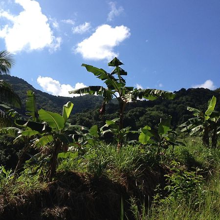 Roots Jungle Retreat Villa Marigot Exterior photo