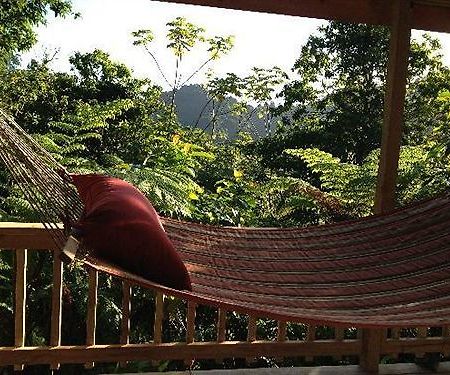 Roots Jungle Retreat Villa Marigot Exterior photo