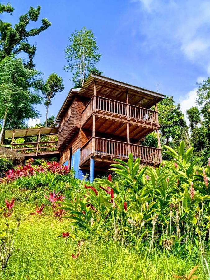 Roots Jungle Retreat Villa Marigot Exterior photo