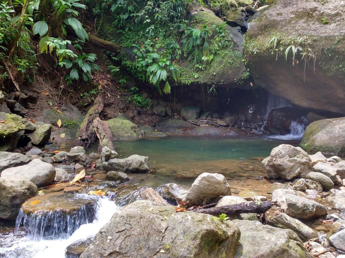 Roots Jungle Retreat Villa Marigot Exterior photo