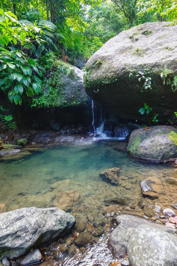 Roots Jungle Retreat Villa Marigot Exterior photo