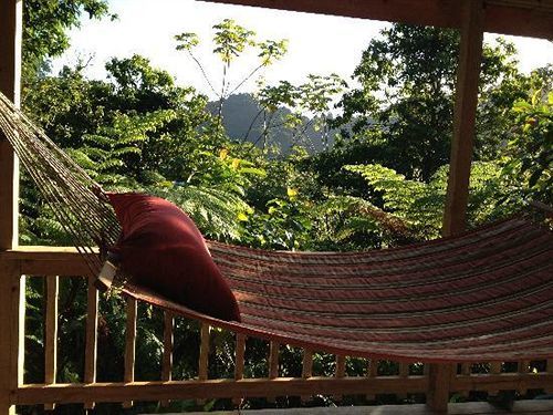 Roots Jungle Retreat Villa Marigot Exterior photo