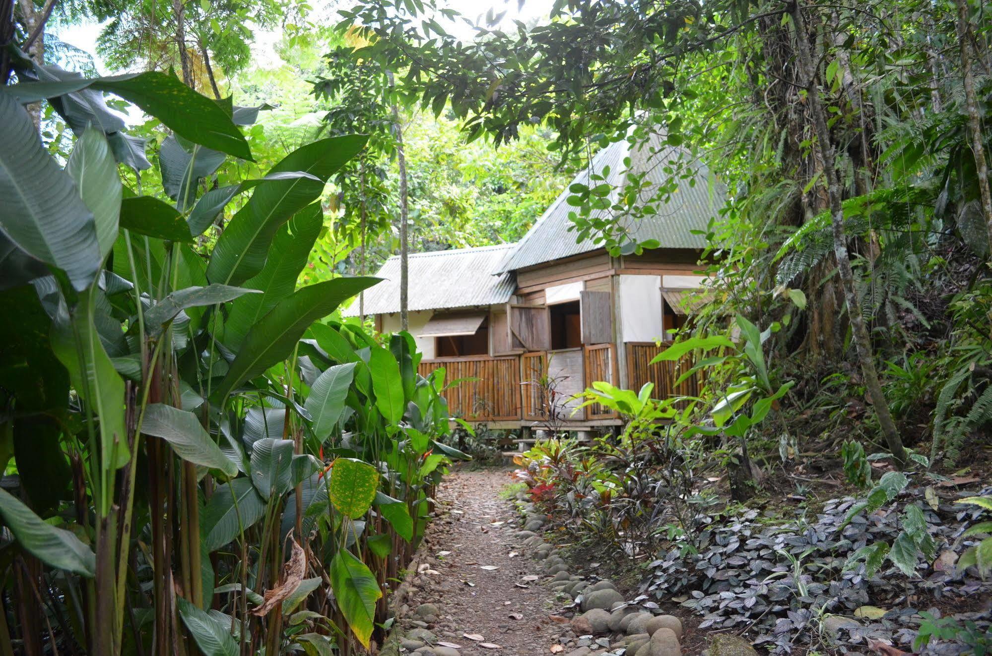 Roots Jungle Retreat Villa Marigot Exterior photo